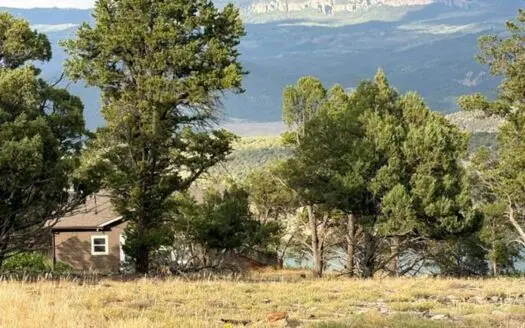 Ridgway Reservoir View Homesite with Guest House