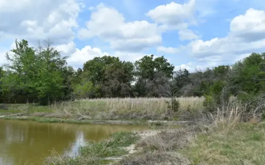 Discover this 54+ acre land located in the mineral rich Kosse