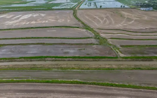 Duck Hunting  and  Rice and Crawfish Farm – Welsh, LA