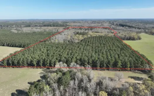 East Texas Hunting & Timber Acreage With Homesites