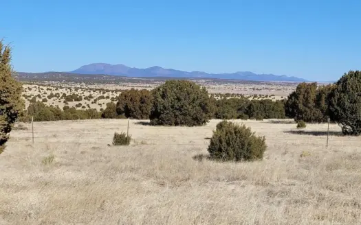 Escape to Peaceful Living in Moriarty, NM: 5.2 Acres