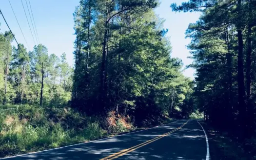 Five Wooded Lots Near Columbia, South Carolina