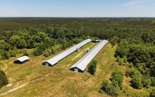Hickory MS 2 House Breeder Poultry Farm