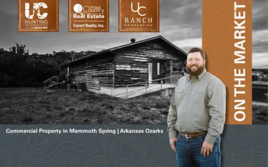 Highway 63 Commercial Property | Mammoth Spring, Arkansas