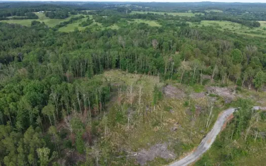 Hunting And Building Land For Sale In North Central Arkansas