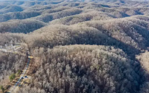 Hunting Land in Albany, Kentucky