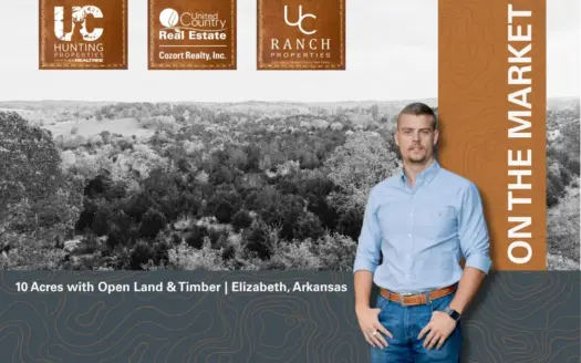Hunting Land Near Norfork Lake | Arkansas Ozarks