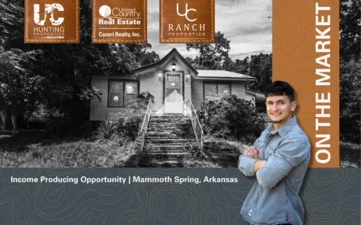 Income Producing Opportunity | Mammoth Spring, Arkansas