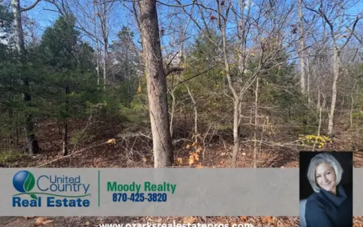 Land For Sale in Gamaliel Arkansas