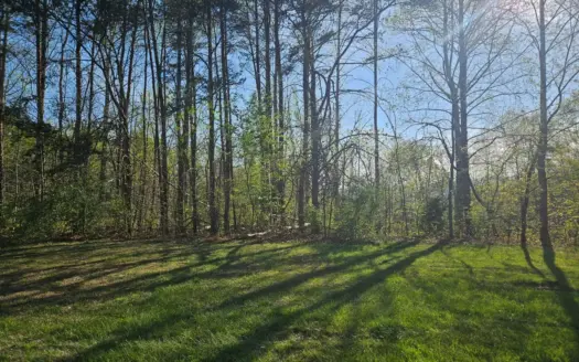 Land for Sale in Patrick County, VA