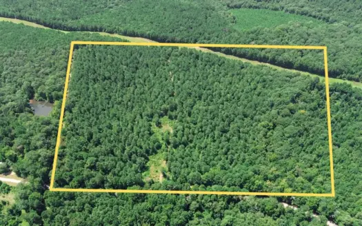 Lincoln Parish Timberland for Sale