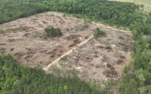 Locust Bayou Timberland Investment Property!