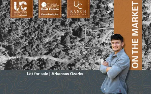 Lot for sale in Baxter County, Arkansas | Salesville