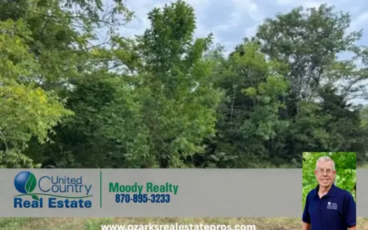 Lot In Salem Arkansas For Sale