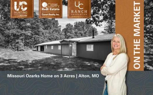 Missouri Ozarks Home on 3 Acres | Alton, MO