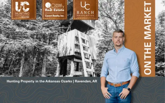 Prime Hunting Property in the Ozarks | Ravenden, Arkansas