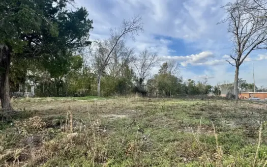 Prime In-Town Build Sites — Cottonwood, AL (Near Dothan)