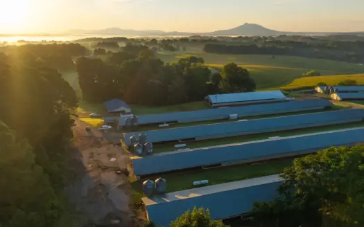 Productive Poultry Farm with Residence & Mountain Views Ararat NC
