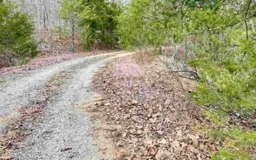 Residential Building Lot for Sale Cherokee Village, AR