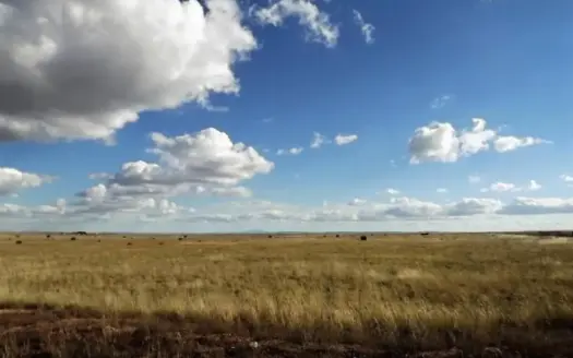 Residential Lots For Sale in Moriarty New Mexico