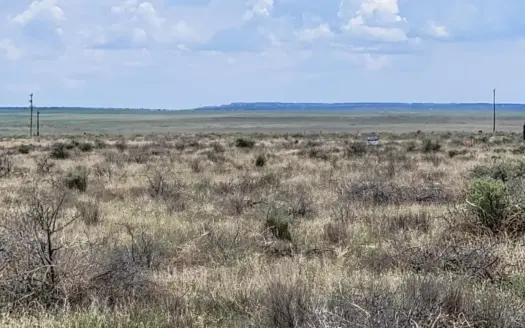 Secluded 60-Acre Retreat in McIntosh, NM – Torrance County