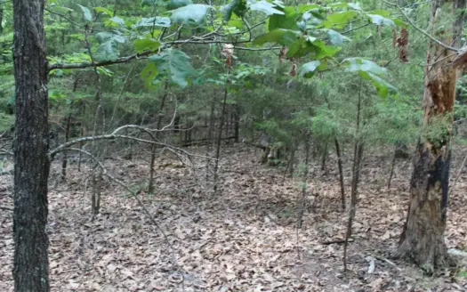 Secluded Lot 5A Near Country Club Theodosia, MO