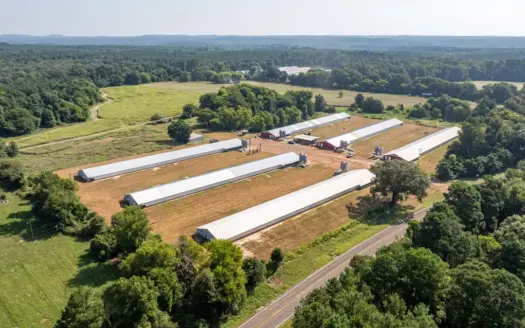 Six House Broiler Farm in Linden, Tx