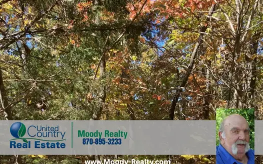 Small Recreational Acreage In Fulton County Arkansas