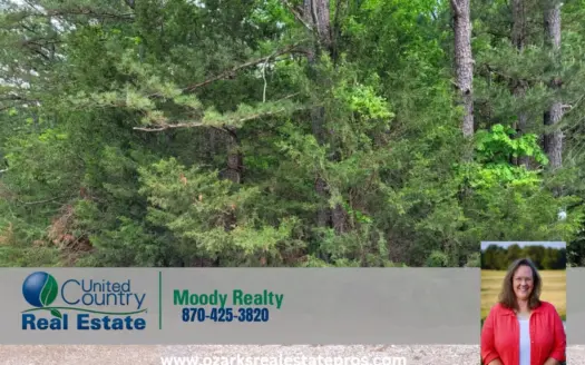 Vacant Lot In Sharp County Arkansas