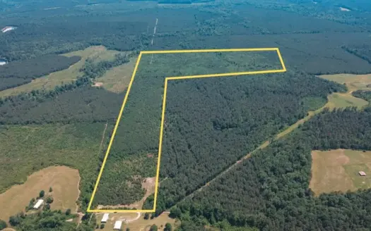 Weston 112 – Timber & Hunting Land in Jackson Parish, LA
