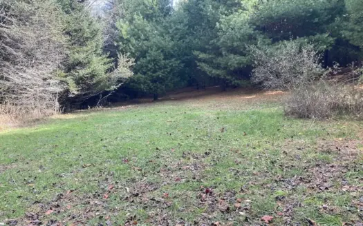 Wooded Land Tract for Sale in Willis VA!