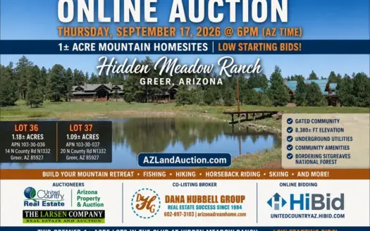 Hidden Meadow Ranch Lots 36 & 37 Online Auction | Greer AZ