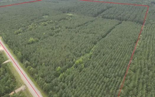 Diverse Pine Timberland W/ Hwy for Sale in Lafayette Co., AR
