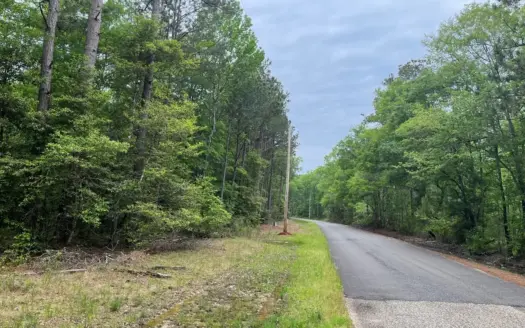 Hardwood/Pine Timberland W/ Creek near Hampton, AR for Sale