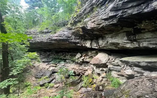 20 Acres Land w/Spring, Waterfall  For Sale Near Jasper, Arkansas