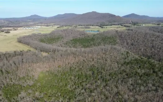 Small Cabin on 21+ Acres Land Marble Falls For Sale Newton Co