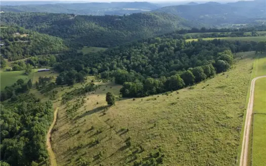 Madison County Northwest Arkansas Pasture Timber 54 Acres For Sal