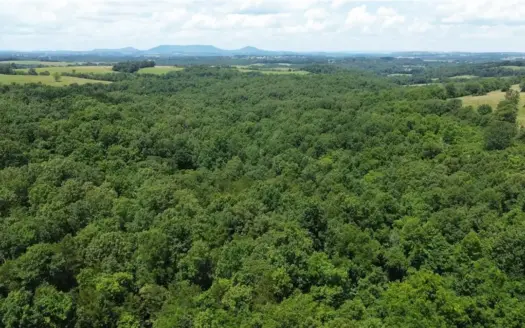 Marion Co Wooded 79.79 Hunting Land Acres For Sale Near River
