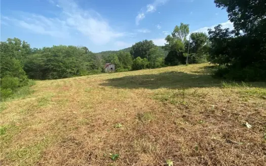 60 Acres Hunting/Pasture/Time Land, Ponds Near Kingston For Sale