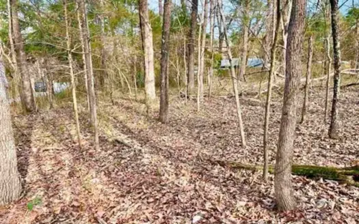 Residential Building Lot for Sale Cherokee Village, AR