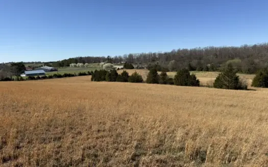 Prime Acreage For Sale In Arkansas