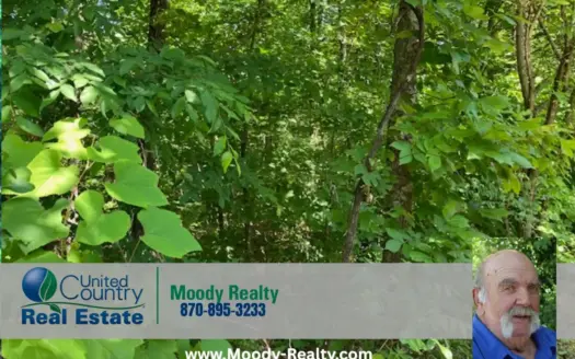 Hunting Acreage In The Arkansas Ozarks
