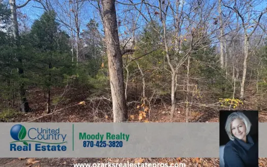 Land For Sale In Gamaliel Arkansas