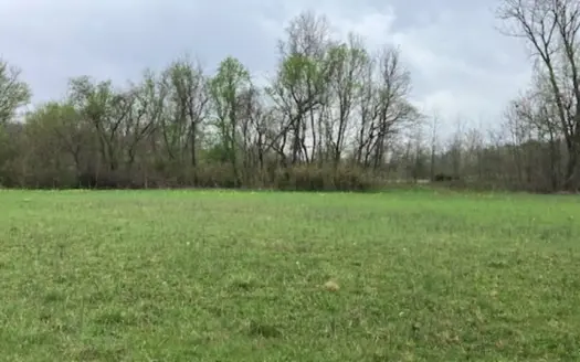 Beautiful Acreage With Martin Creek Frontage Williford Arkansas