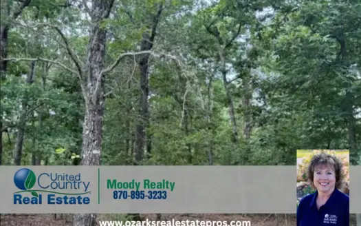 5 Acre Hardwood Haven – Land for Sale in the Ozarks