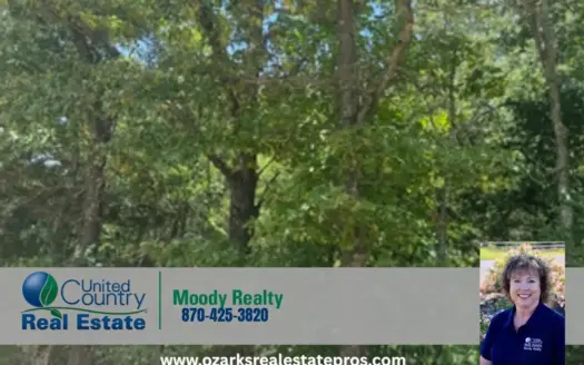 5.05 Wooded Acres Ready for Your New Home or Hunting Retreat