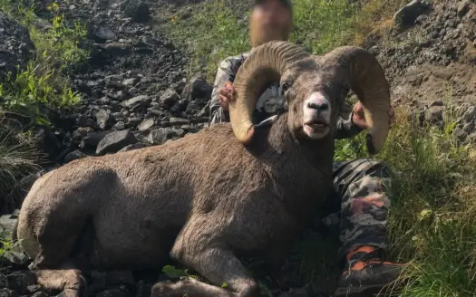 SW Colorado Big Game Hunting Outfitting Business: NO DEEDED LAND