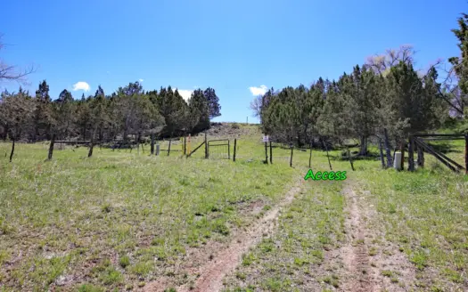 Colorado Irrigated Vacant Land For Sale