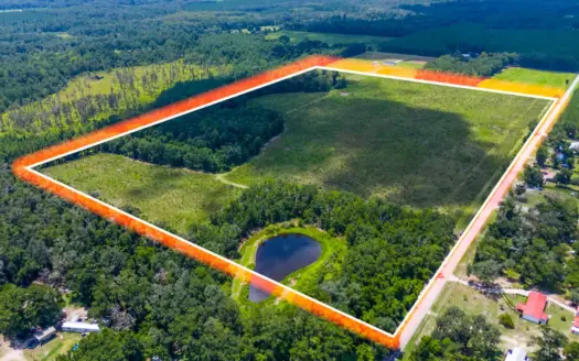 60 Acres and a Pond in Live Oak, FL