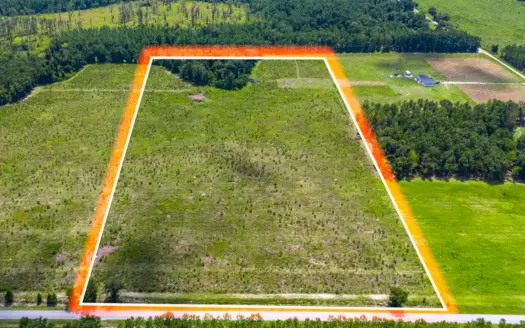 20 Acres for Sale in Live Oak, FL